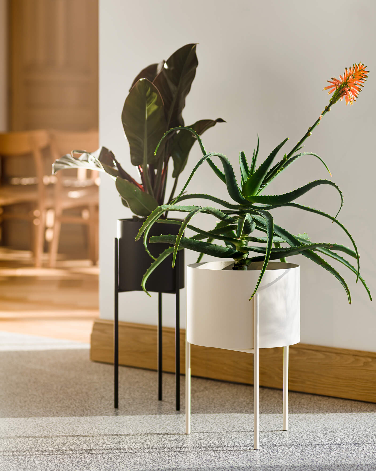 Maki Planter - wide