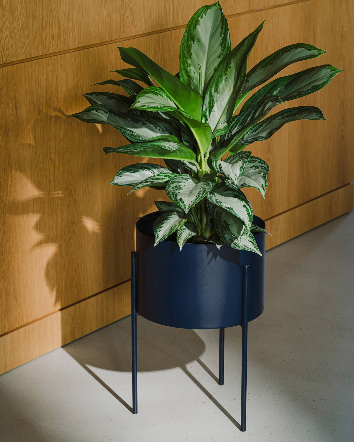 wide plant pot indoor Maki Plant Pot Wide - indoor & outdoor, white pot, 30 cm