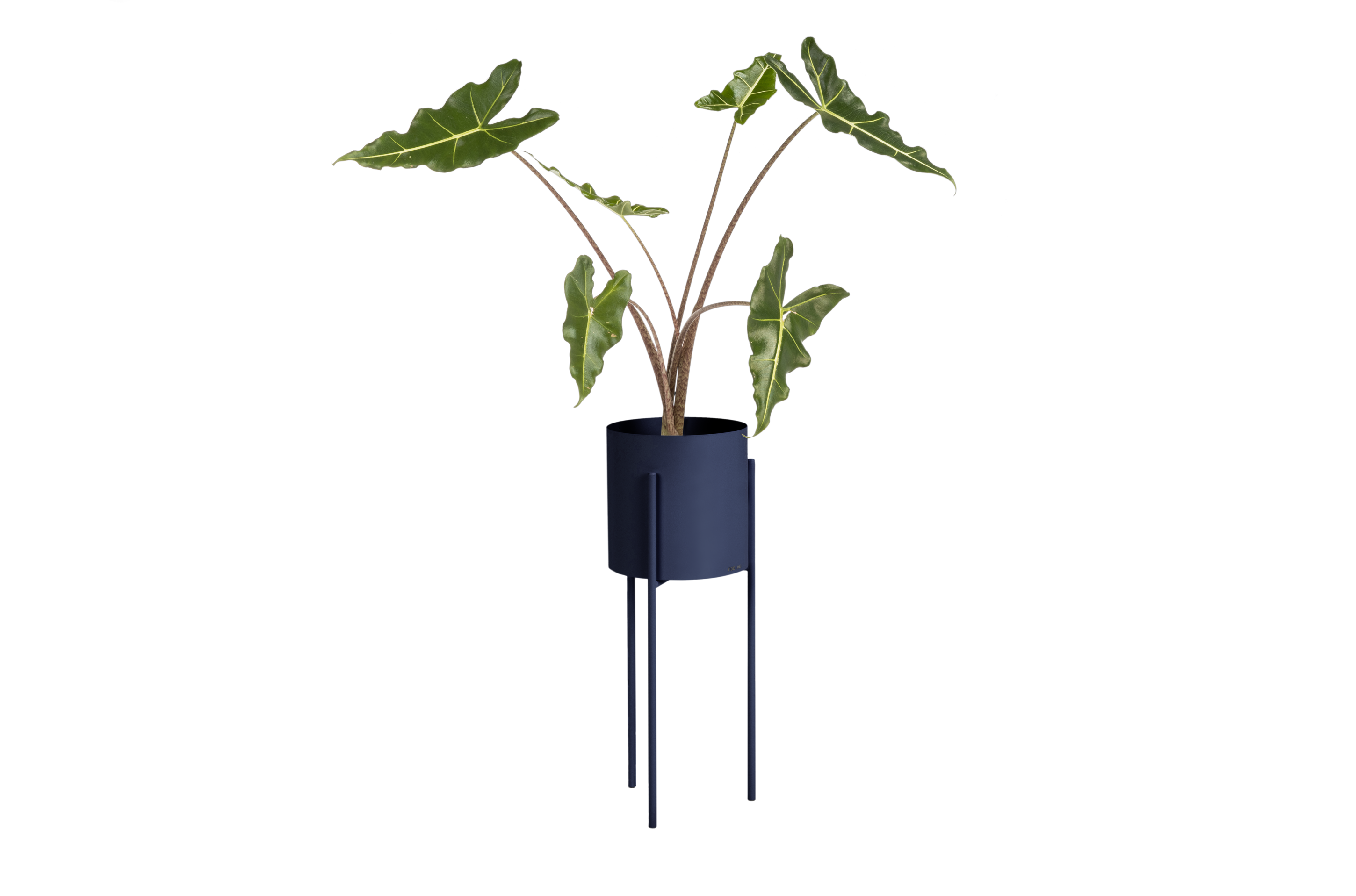 Maki Planter - tall